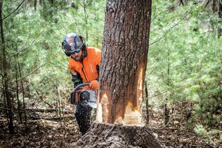 Chainsaw 572XP