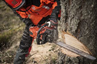 Chainsaw logger - Canada