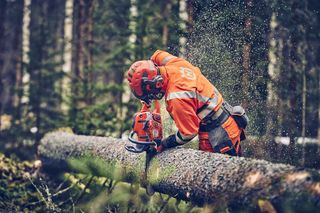 Chainsaw 560 XP Mark II Logger Crosscutting