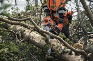 Logger with Chainsaw 550 XP Mark II Winter