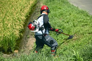 Backpack Brushcutter BKZ275 in use , ridge 1