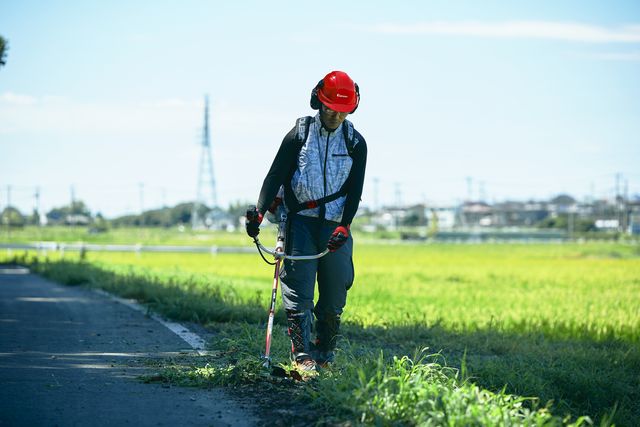 Brushcutter BCZ265 in use , ridge 4