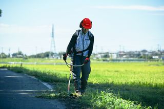 Brushcutter BCZ265 in use , ridge 4