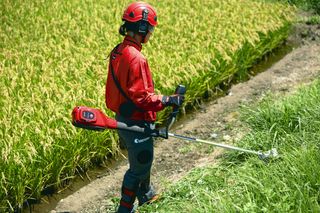 Battery Brushcutter BBC250PW in use , ridge 2