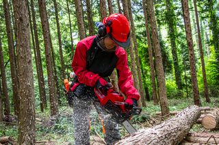 森の中でチェーンソーを使って倒木を切る人。