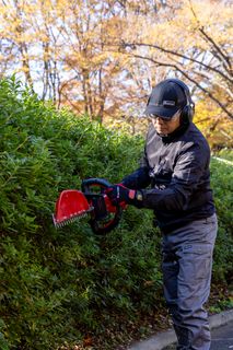 A person trimming a hedge with a hedge trimmer in a garden setting.