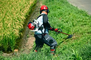 草刈り機を使って畑の近くで背の高い草を刈る人。