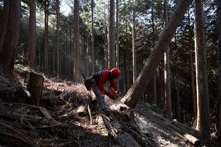 Zenoah Japan Forest Japan Forest